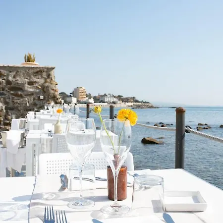 Hotel Delle Palme