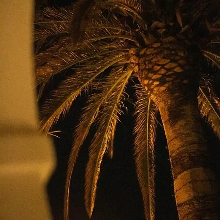 Delle Palme 3*