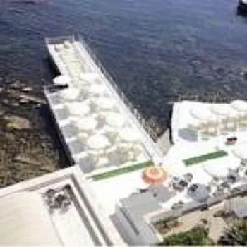 Delle Palme Santa Marinella